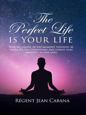 cover image of THE PERFECT LIFE Is Your Life